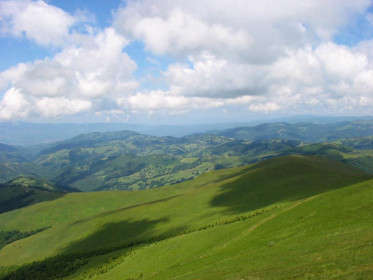 Besna kobila